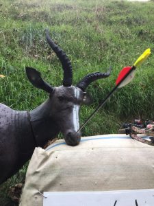 2017 ADAA Field Championships @ Massey Archery Club | Auckland | Auckland | New Zealand